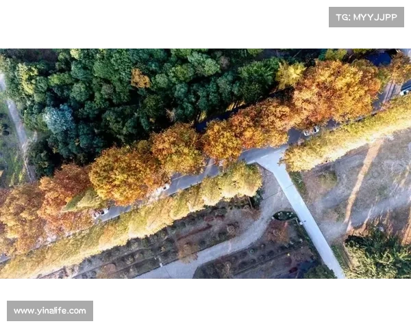 【更好潍坊】图说变化!普通绿地如何“晋升”宝藏打卡地 【更好潍坊】图说变化!普通绿地如何“晋升”宝藏打卡地